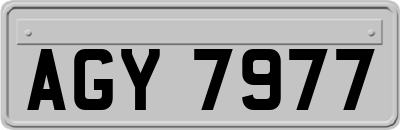 AGY7977