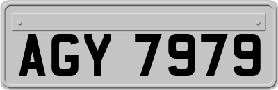 AGY7979
