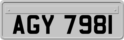 AGY7981