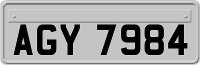 AGY7984