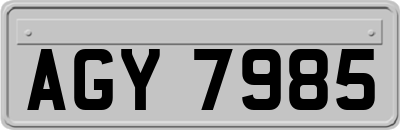 AGY7985