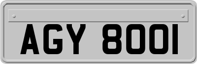 AGY8001