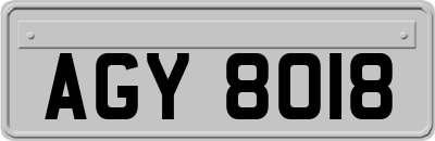 AGY8018