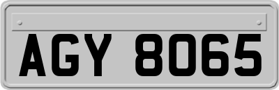 AGY8065