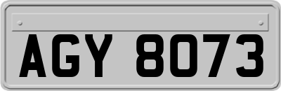 AGY8073