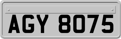 AGY8075