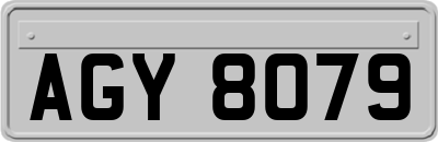 AGY8079