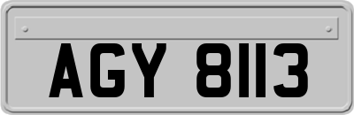 AGY8113