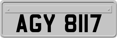 AGY8117