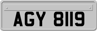 AGY8119