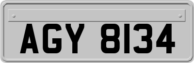 AGY8134