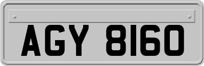 AGY8160