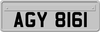 AGY8161