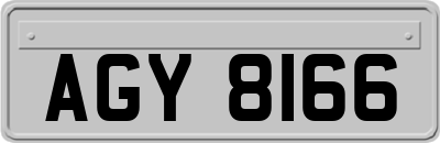 AGY8166