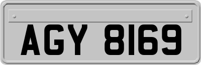 AGY8169