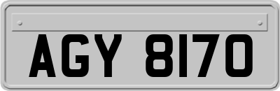 AGY8170