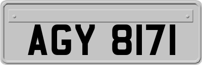 AGY8171