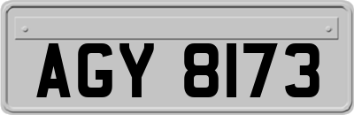 AGY8173