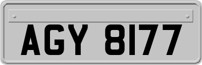 AGY8177