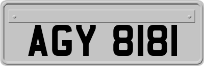 AGY8181