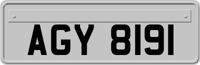 AGY8191