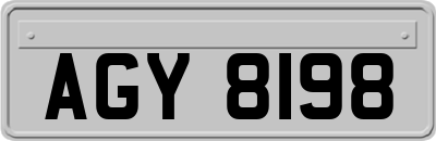 AGY8198