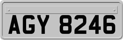 AGY8246