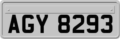 AGY8293