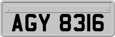 AGY8316