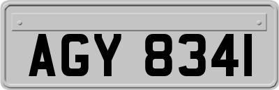 AGY8341