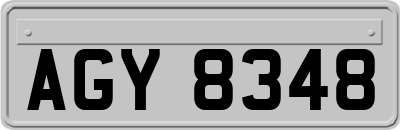 AGY8348