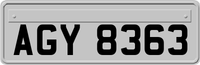 AGY8363