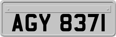 AGY8371