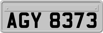 AGY8373