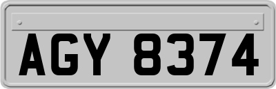AGY8374