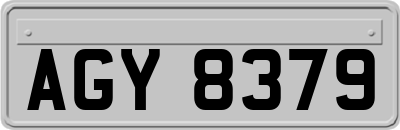 AGY8379