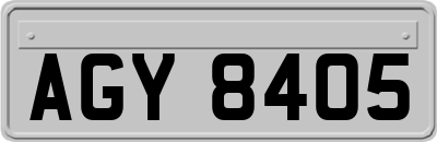 AGY8405