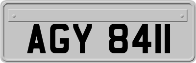 AGY8411