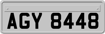 AGY8448