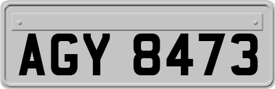 AGY8473