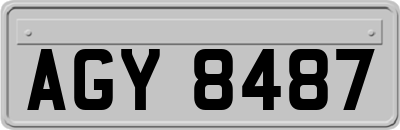 AGY8487