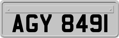 AGY8491