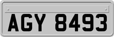 AGY8493