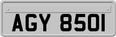 AGY8501