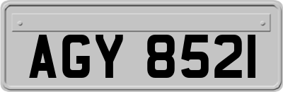 AGY8521