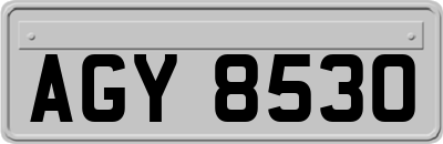 AGY8530