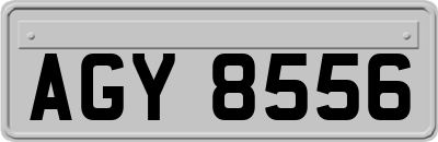 AGY8556
