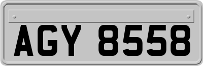AGY8558