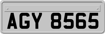 AGY8565