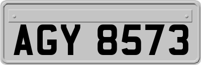 AGY8573